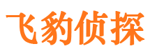 会理外遇出轨调查取证